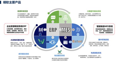 上海軟件開發 機遇、挑戰與未來展望